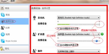 电脑板skype通话没声音,Skype通话无声音问题排查与解决指南