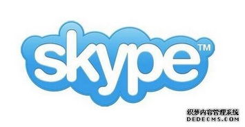 skype 网络忙,揭秘通话中断背后的原因