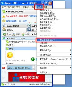 skype发送的短信怎么删除,如何从Skype短信中删除已发送的消息